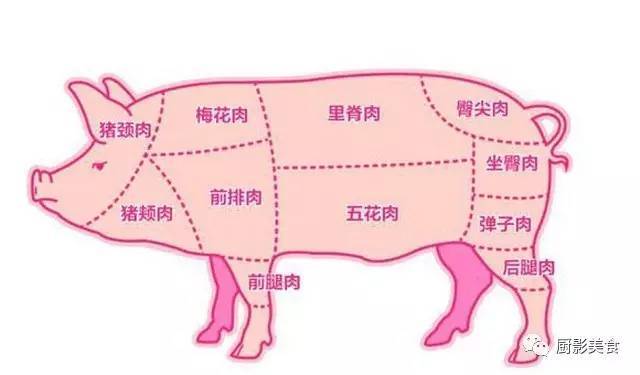 猪肉各部位吃法详解,猪身不同部位的猪肉怎么做好吃