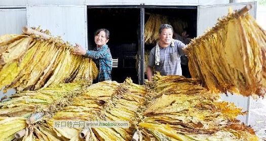 沂源黄烟.jpg