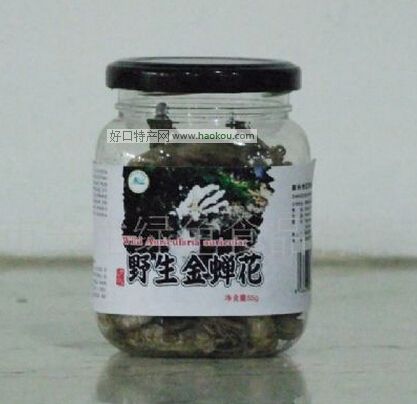 程溪金蝉