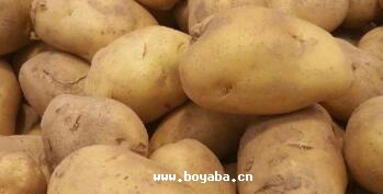 ȿ