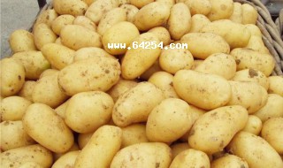 ô