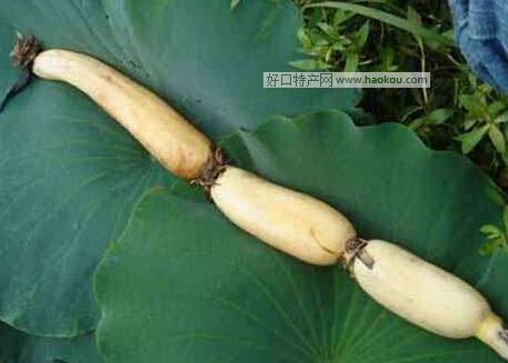 余姚荷藕.jpg