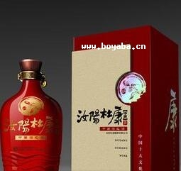 汝阳杜康.jpg