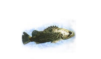 㣨