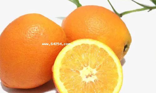 橙子产地及品种大盘点