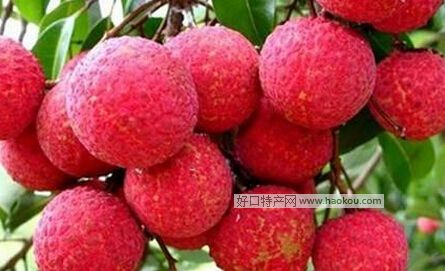 乌石荔枝