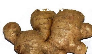 庺