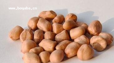 铜仁珍珠花生