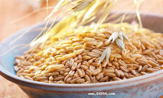 燕麦成为餐桌上备受推崇的食物，常吃燕麦健康多