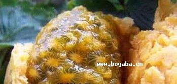 ţ