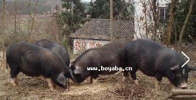 կë.jpg