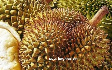 三亚榴莲
