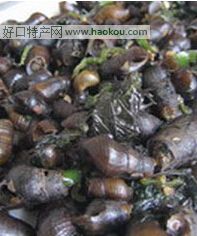 炒山坑螺.jpg