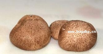 㹽
