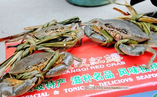 琅岐红蟳
