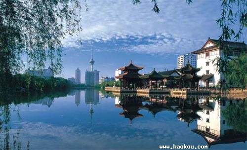 新疆旅游必买特产