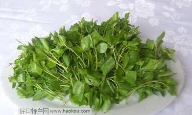 野生簕菜.jpg