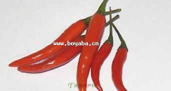 隆回辣椒