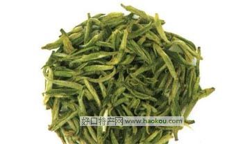 眉山东坡翠竹