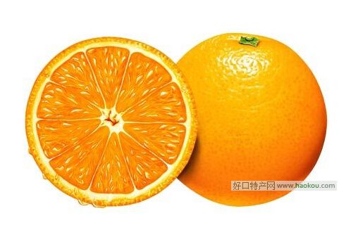 金龟橘