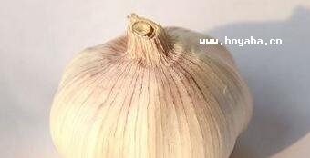 ƴ