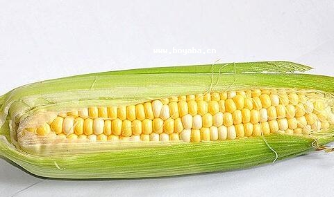 双城玉米