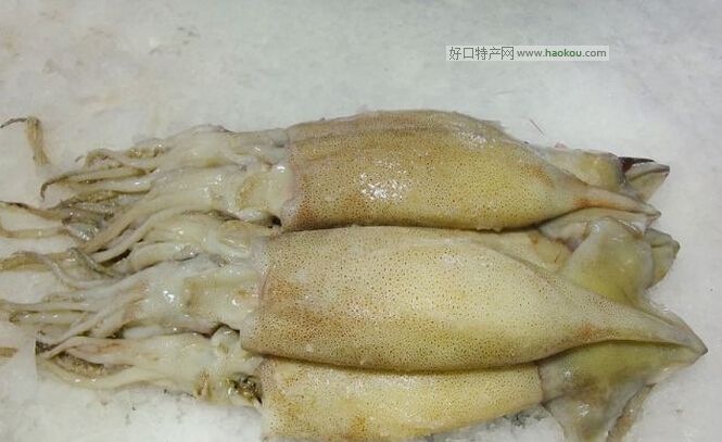 本港鱿鱼.jpg