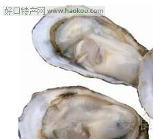 白玉蚝.jpg