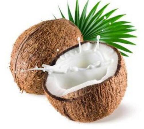 Ҭ