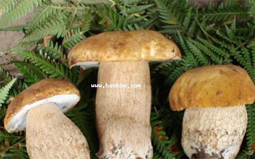 ˮž