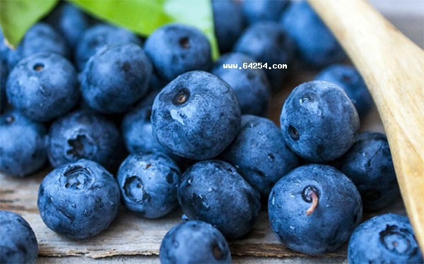 蓝莓的营养价值丰富，热量低